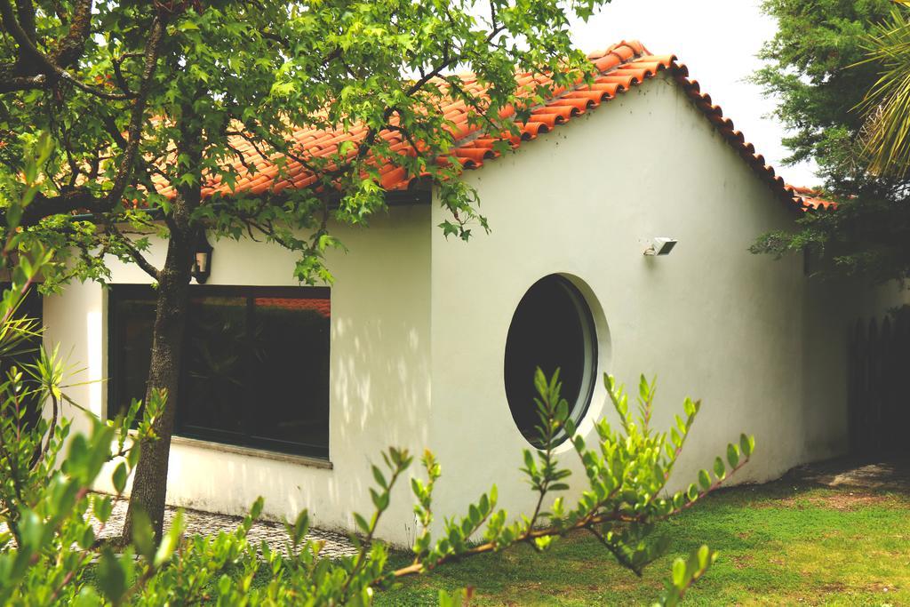 Quinta Santo Antonio Do Rio Vila Celorico Da Beira Exterior foto